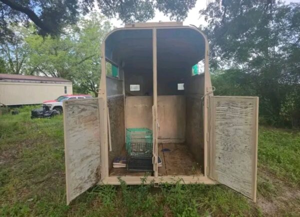 Cherokee two horse trailer - Image 4